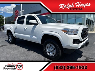 2022 Toyota Tacoma for sale in Anderson SC