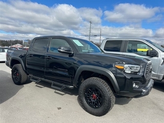 2022 Toyota Tacoma for sale in Greeneville TN