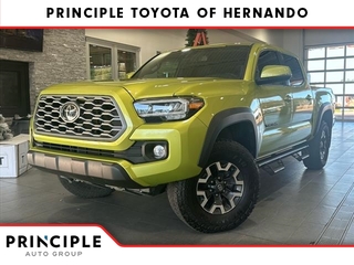 2023 Toyota Tacoma for sale in Hernando MS