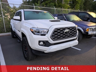 2023 Toyota Tacoma for sale in Charleston SC