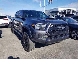 2023 Toyota Tacoma for sale in Cleveland TN