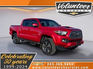 2023 Toyota Tacoma for sale in Sevierville TN