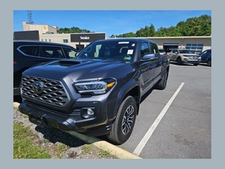 2023 Toyota Tacoma for sale in Johnson City TN