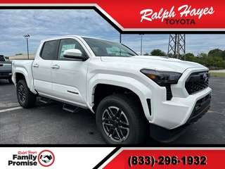 2024 Toyota Tacoma for sale in Anderson SC