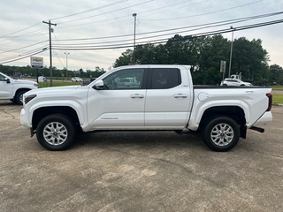 2024 Toyota Tacoma for sale in Philadelphia MS