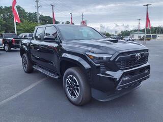 2024 Toyota Tacoma for sale in New Bern NC