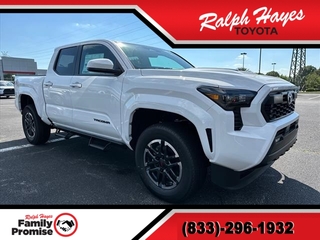 2024 Toyota Tacoma for sale in Anderson SC