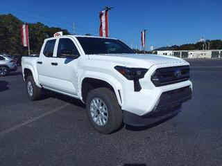 2024 Toyota Tacoma for sale in New Bern NC