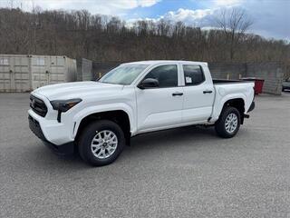 2024 Toyota Tacoma for sale in Kingsport TN