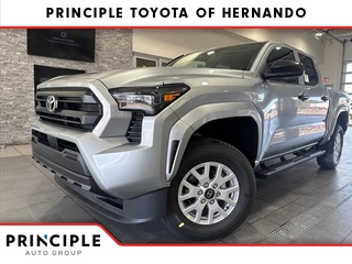 2025 Toyota Tacoma for sale in Hernando MS