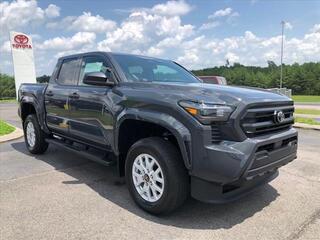 2024 Toyota Tacoma for sale in Mcdonald TN