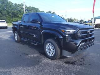 2024 Toyota Tacoma for sale in New Bern NC