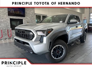 2024 Toyota Tacoma for sale in Hernando MS