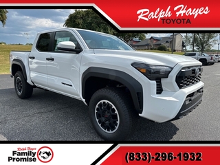 2024 Toyota Tacoma for sale in Anderson SC