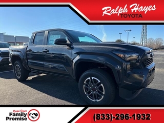 2024 Toyota Tacoma for sale in Anderson SC