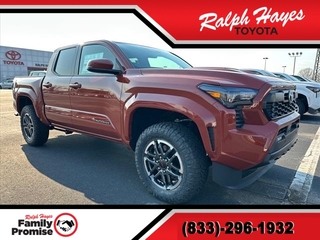 2025 Toyota Tacoma for sale in Anderson SC