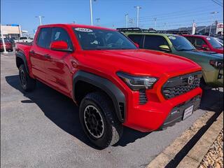 2024 Toyota Tacoma for sale in Bowling Green KY