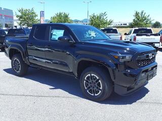 2024 Toyota Tacoma for sale in Roanoke VA