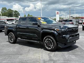 2024 Toyota Tacoma for sale in Hendersonville NC