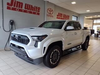2024 Toyota Tacoma for sale in Toledo OH