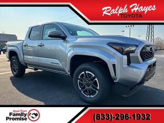 2025 Toyota Tacoma for sale in Anderson SC