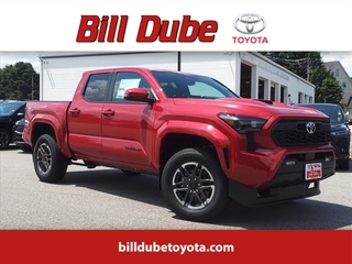 2024 Toyota Tacoma for sale in Dover NH