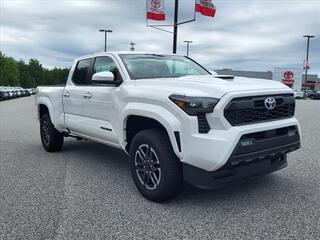 2024 Toyota Tacoma for sale in Asheboro NC