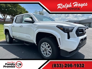 2024 Toyota Tacoma for sale in Anderson SC