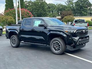 2024 Toyota Tacoma for sale in Hendersonville NC