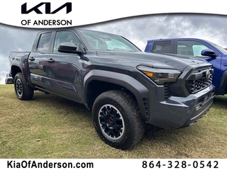 2024 Toyota Tacoma for sale in Pendleton SC