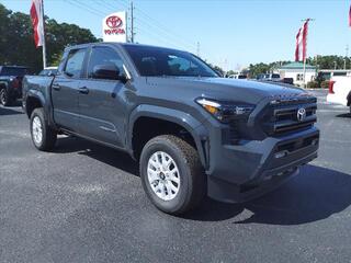 2024 Toyota Tacoma for sale in New Bern NC