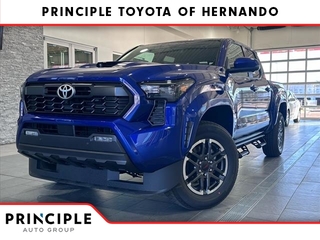 2024 Toyota Tacoma for sale in Hernando MS