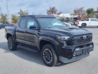 2024 Toyota Tacoma for sale in Roanoke VA