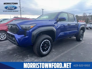 2024 Toyota Tacoma for sale in Morristown TN