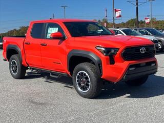 2024 Toyota Tacoma for sale in Asheboro NC