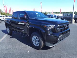 2024 Toyota Tacoma for sale in New Bern NC