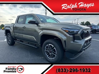 2024 Toyota Tacoma for sale in Anderson SC