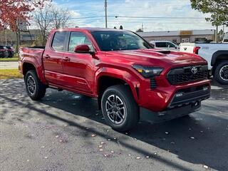 2024 Toyota Tacoma for sale in Janesville WI