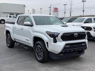 2025 Toyota Tacoma for sale in Chattanooga TN