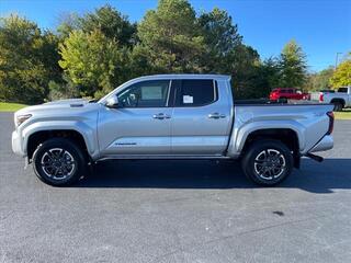 2024 Toyota Tacoma for sale in Morristown TN