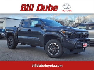 2024 Toyota Tacoma for sale in Dover NH