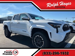 2024 Toyota Tacoma for sale in Anderson SC