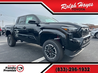 2025 Toyota Tacoma for sale in Anderson SC