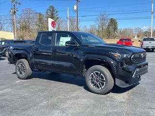 2024 Toyota Tacoma for sale in Hendersonville NC