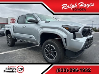 2025 Toyota Tacoma for sale in Anderson SC