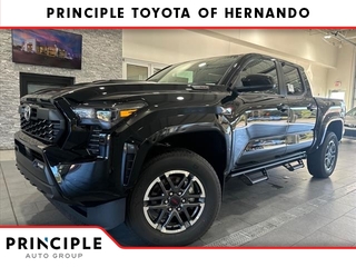 2024 Toyota Tacoma for sale in Hernando MS