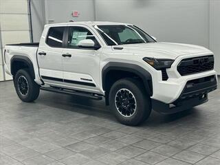 2024 Toyota Tacoma for sale in Murray KY