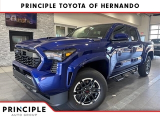 2025 Toyota Tacoma for sale in Hernando MS