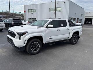 2024 Toyota Tacoma for sale in Kingsport TN