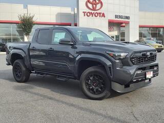 2024 Toyota Tacoma for sale in Lynchburg VA